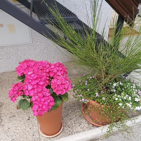 Apartma Arnez Блед Экстерьер фото
