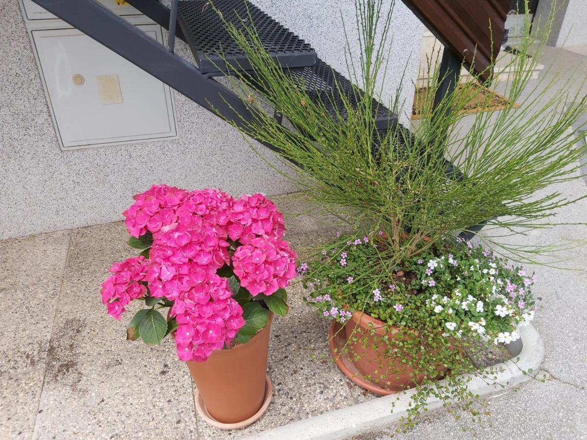 Apartma Arnez Блед Экстерьер фото